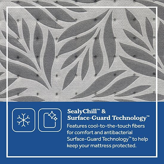 Sealy® Posturepedic Plus Porteer Medium - Mattress Only		