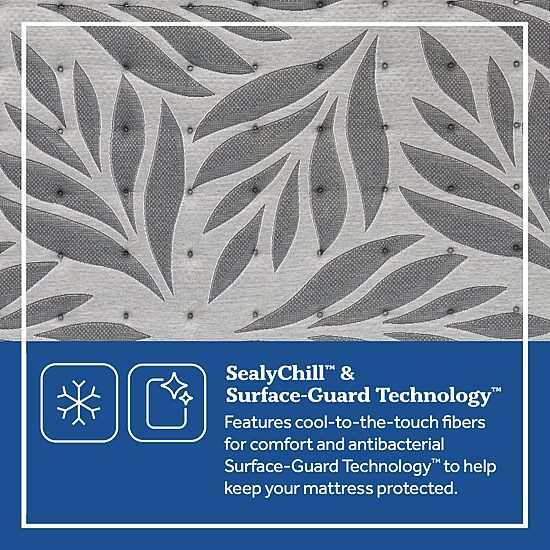 Sealy® Posturepedic Plus Porteer Soft Pillow Top - Mattress Only		