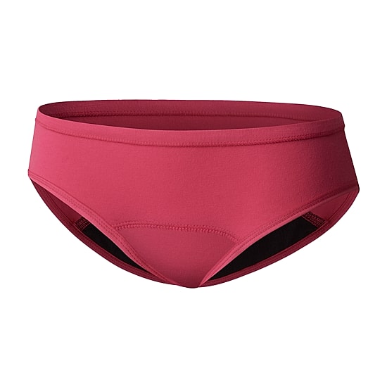 Hanes Big Kid Girls 4 Pack Period + Leak Resistant Multi-Pack Hipster Panty Gucprd