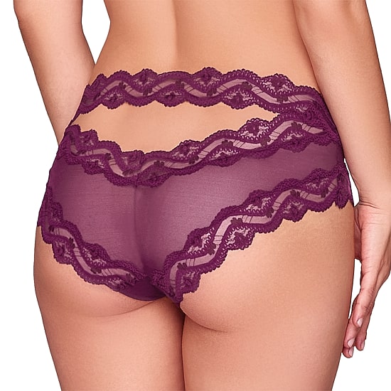 Ilusion Mesh Lace Boyshort - 1244