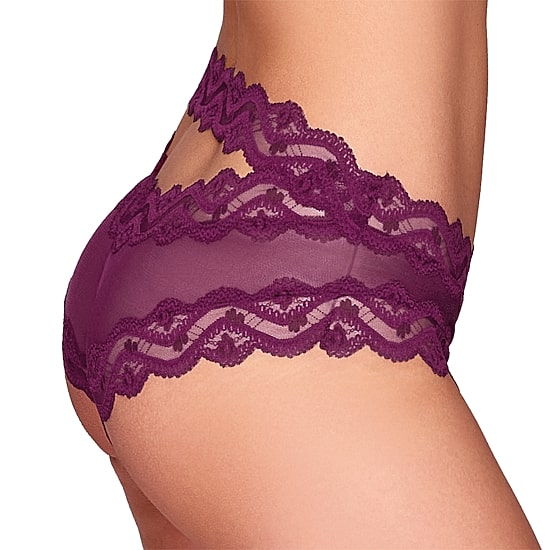 Ilusion Mesh Lace Boyshort - 1244