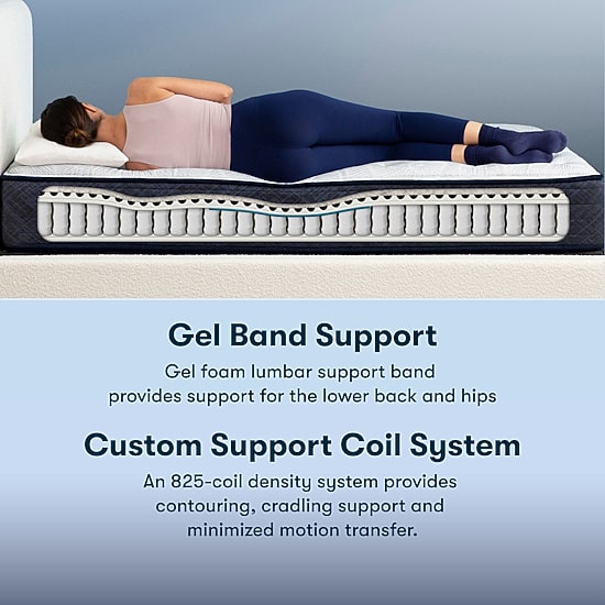 Serta Perfect Sleeper Adoring Night 10.5" Plush Tight Top - Mattress Only