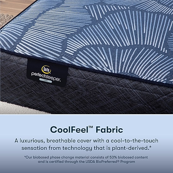 Serta Perfect Sleeper Euphoric Nights 14" Hybrid Plush - Mattress Only