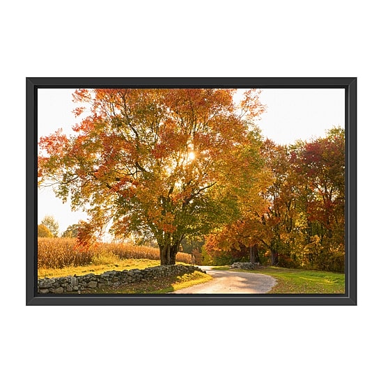 Lumaprints Maple Tree Drive Framed Canvas Art