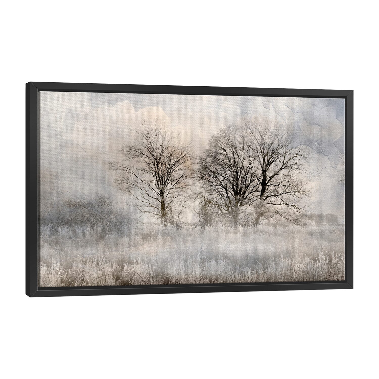 Lumaprints Winter Frost 3 Framed Canvas Art