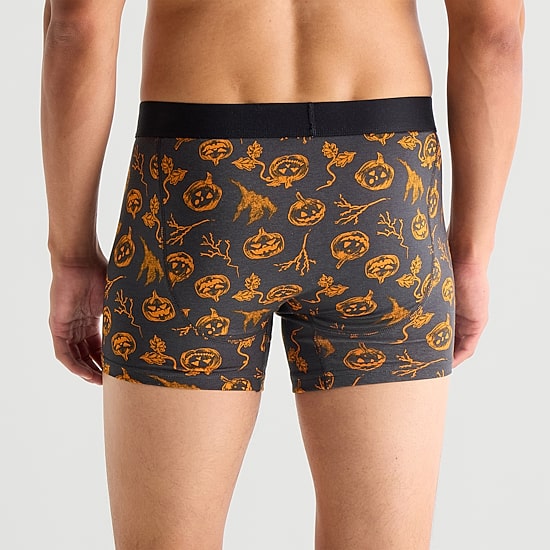 Arizona Mens Boxer Briefs 382845