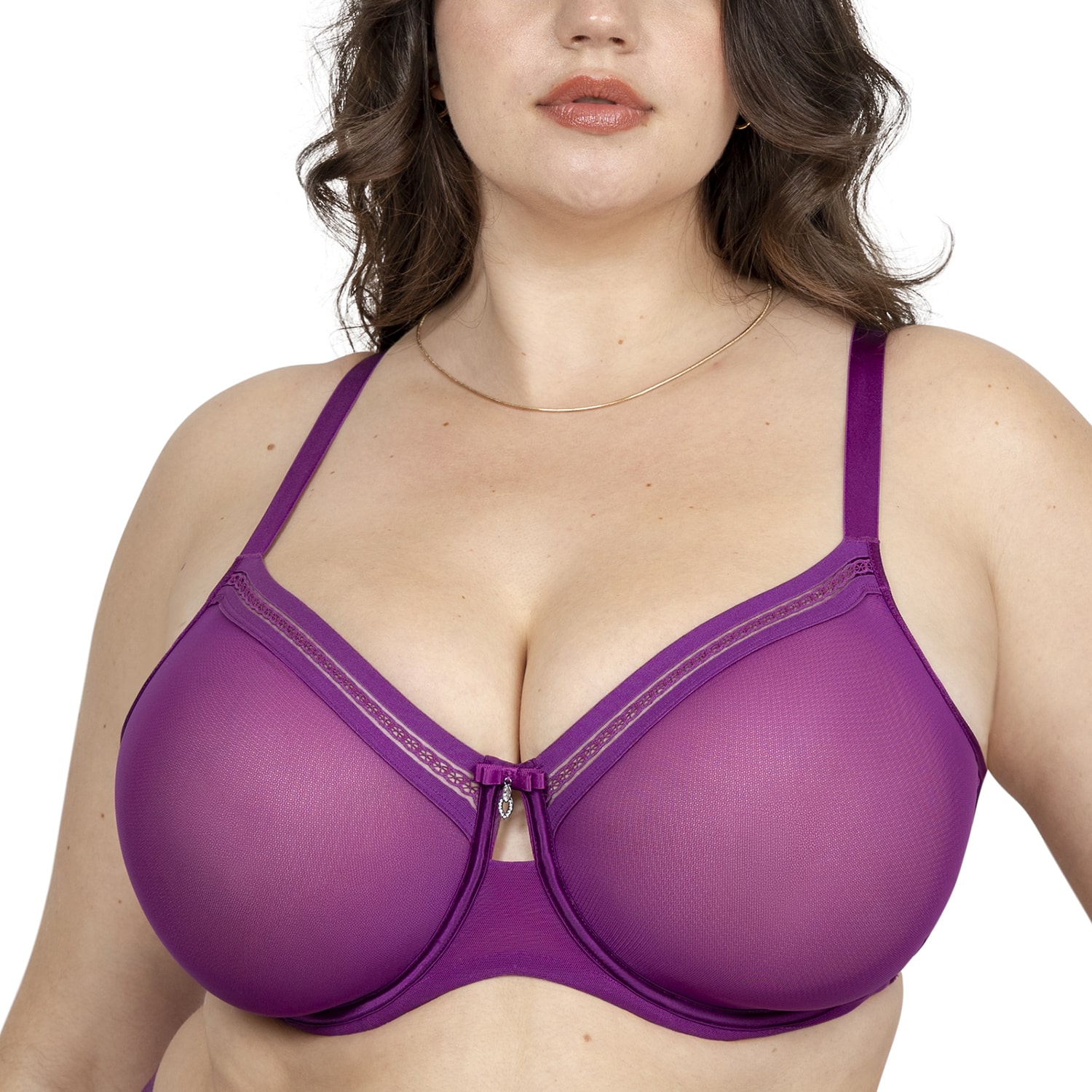 Curvy Couture Sheer Mesh w/ Trim Bra- 1634