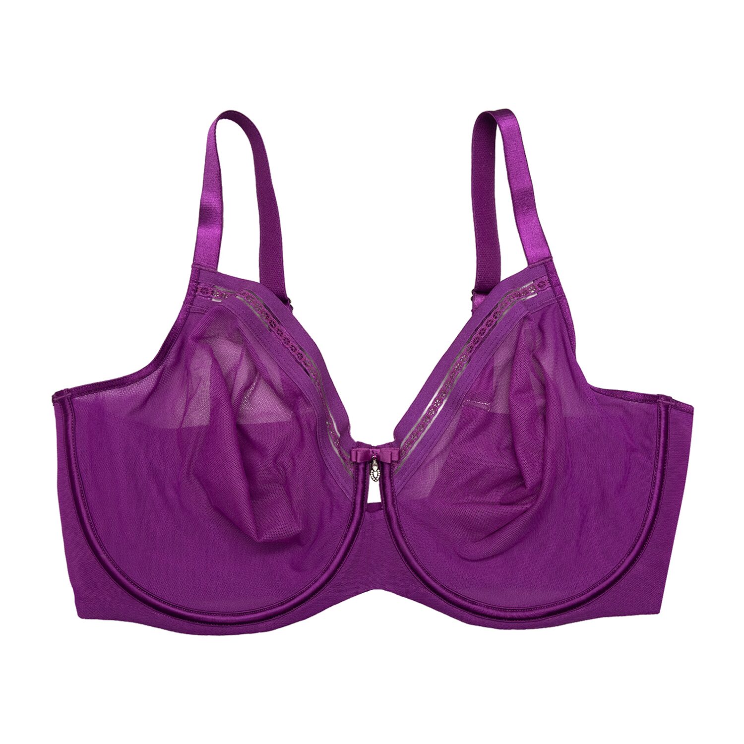 Curvy Couture Sheer Mesh w/ Trim Bra- 1634