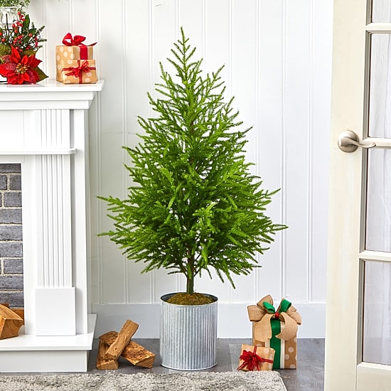Nearly Natural Norfolk Island Pine 4 Foot Potted Pine Christmas Tree