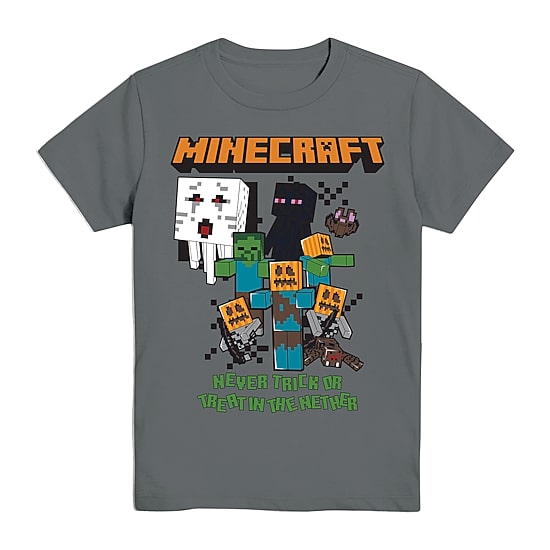 Little & Big Kid Boys Crew Neck Short Sleeve Regular Fit Minecraft Graphic T-Shirt