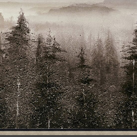 Streamline Art Foggy Mountain Pines Hand Embellished Canvas Art