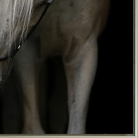 Streamline Art Mystical Horse Printed Framed Canvas Art