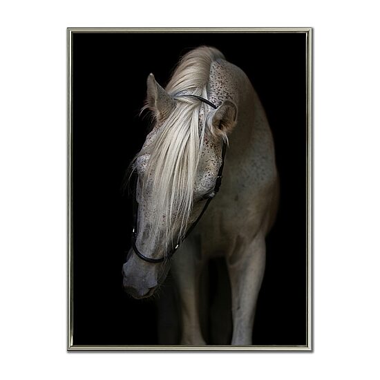 Streamline Art Mystical Horse Printed Framed Canvas Art