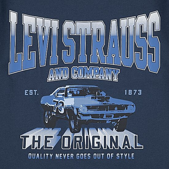 Levi's® Big Kid Boys Crew Neck Short Sleeve Regular Fit Graphic T-Shirt