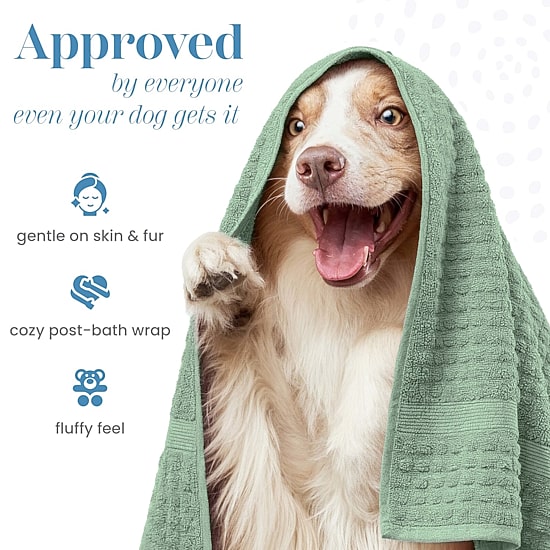 Martex 6-pc. Quick Dry Bath Towel Set