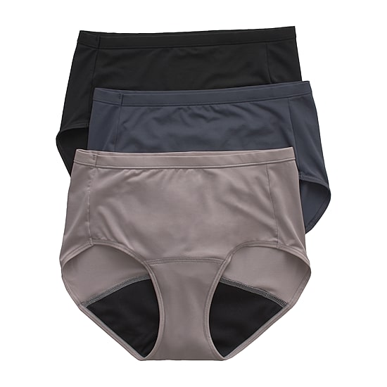 Hanes Fresh And Dry Light Leak Protection Womens Seamless Period + Leak Resistant 3 Pack Brief Panty 40fdl3