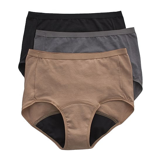 Hanes Fresh And Dry Moderate Leak Protection 3 Pack Seamless Period + Leak Resistant Brief Panty 40fdm3