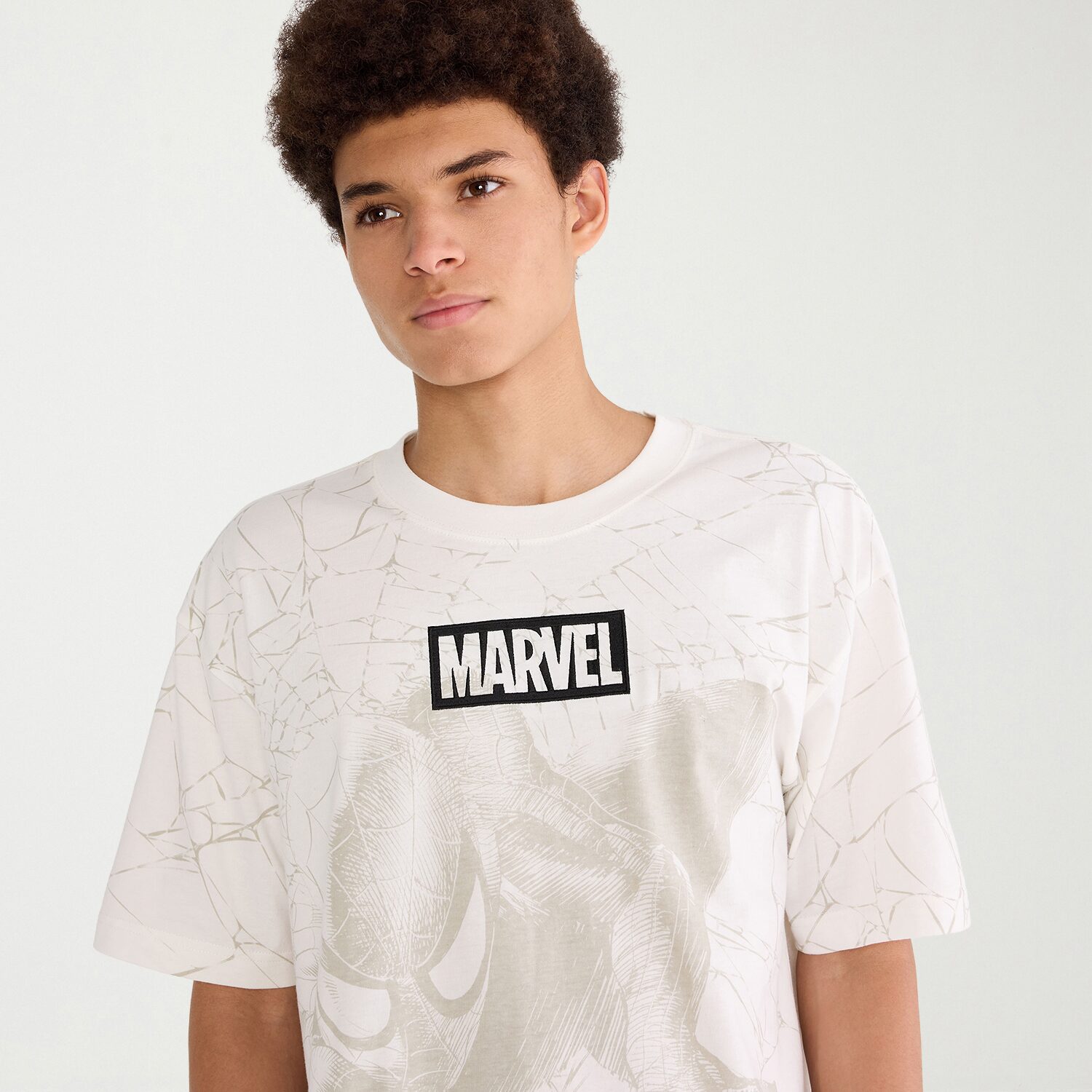 AEROPOSTALE Mens Crew Neck Short Sleeve Regular Fit Spiderman Graphic T-Shirt