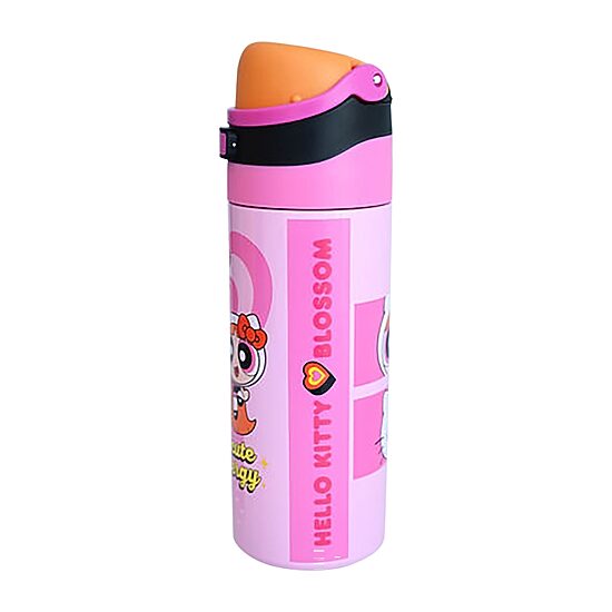 Hello Kitty and Powerpuff Girls Supercute Energy Stainless Steel 24oz. Water Bottle