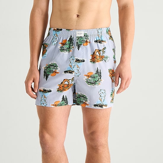 Arizona Mens Boxers 370609