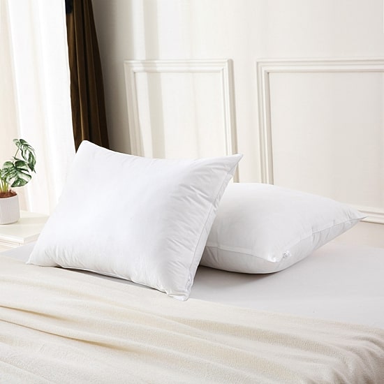 Royal Velvet Nano Down And Feather Pillows Set Of 2