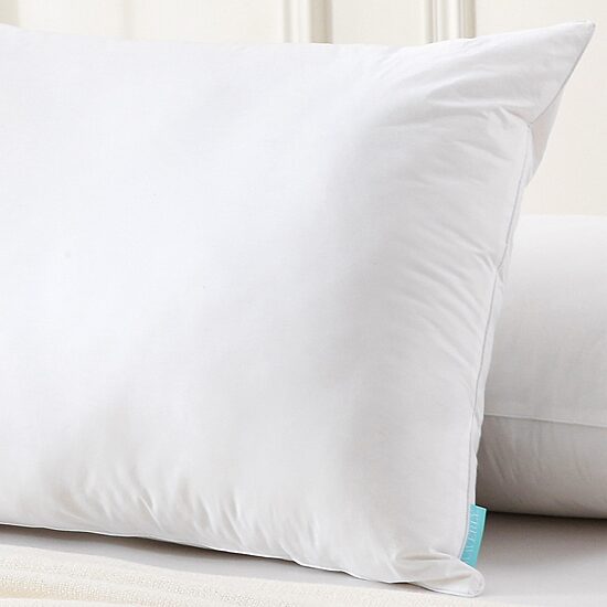 Waverly Feather And Down Blend Pillow Set Of 2