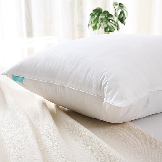 Waverly Feather Down Blend Pillow Set Of 2