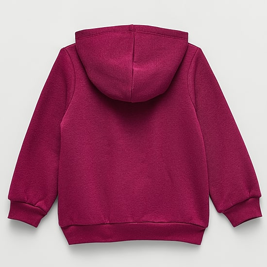 Okie Dokie Toddler & Little Boys Long Sleeve Fleece Hoodie