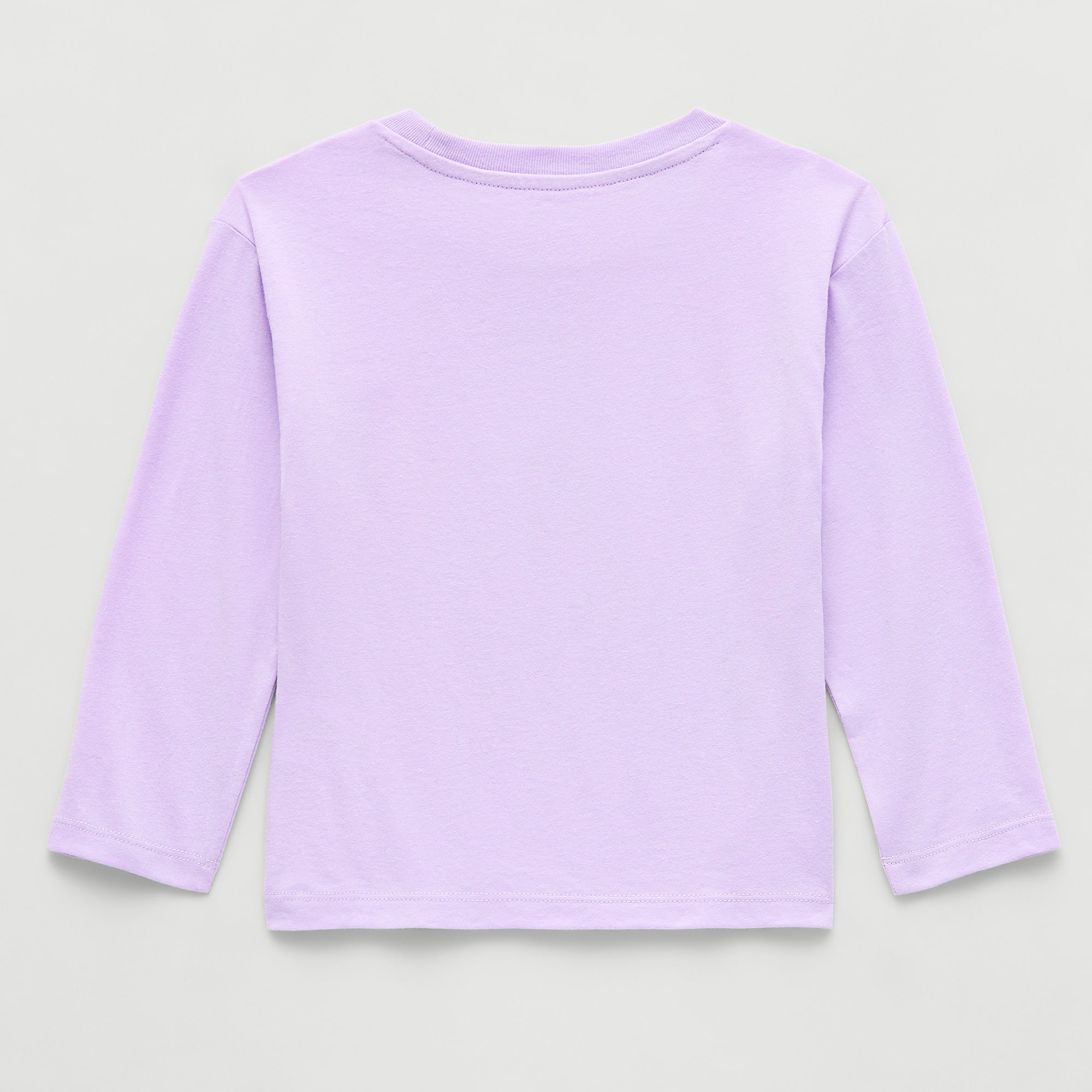 Toddler Girls Crew Neck Long Sleeve Regular Fit Bluey Graphic T-Shirt