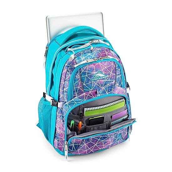 High Sierra Swerve Backpack
