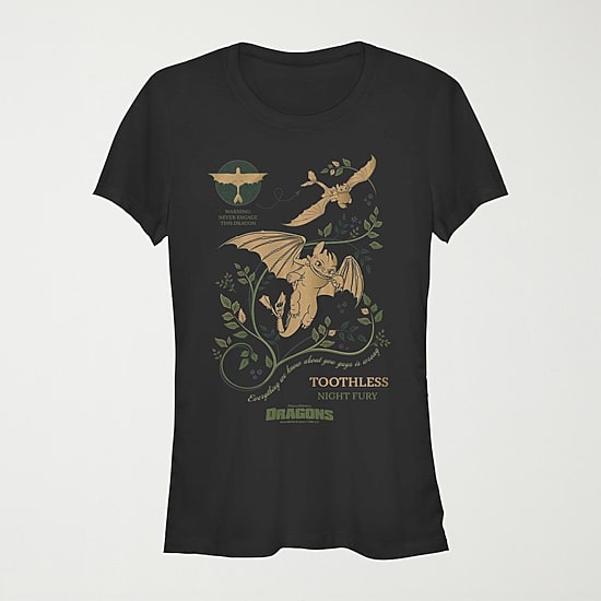 How To Train Your Dragon Tee Womens Juniors Crew Neck Short Sleeve Regular Fit Graphic T-Shirt