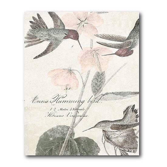 Courtside Market Soft Hummingbirds Canvas Art