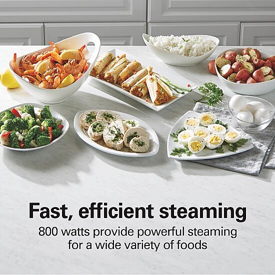 Hamilton Beach 9 Qt Food Steamer