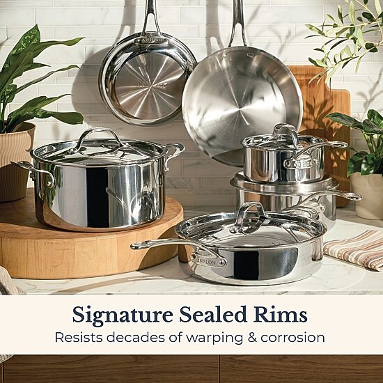Anolon Everlast Tri-Ply Clad 10-pc. Stainless Steel Cookware Set
