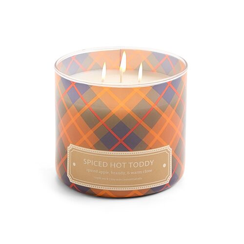 Distant Lands Spiced Hot Toddy 3-wick Scented Jar Candle