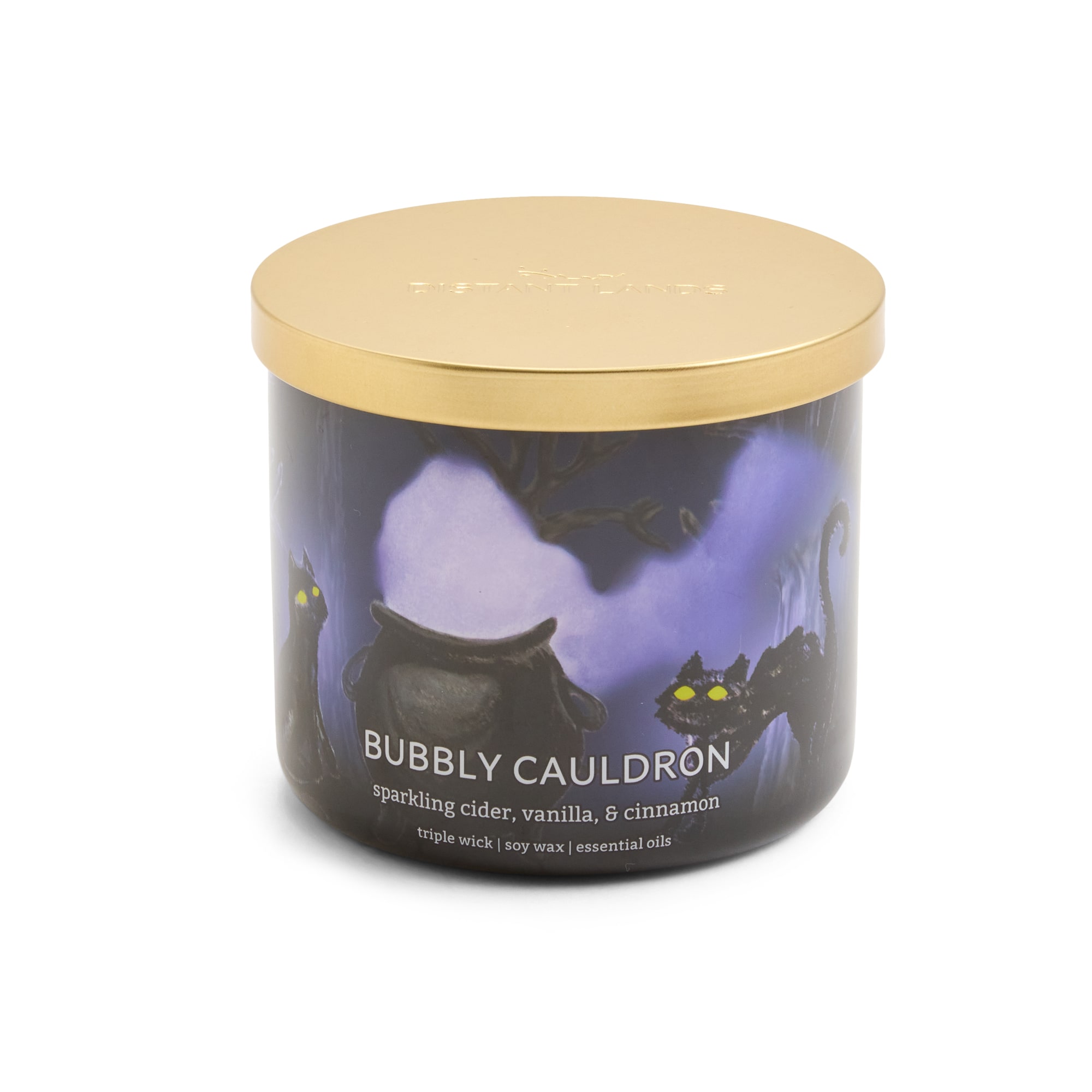 Distant Lands Bubbly Cauldron 3-Wick Scented Jar Candle