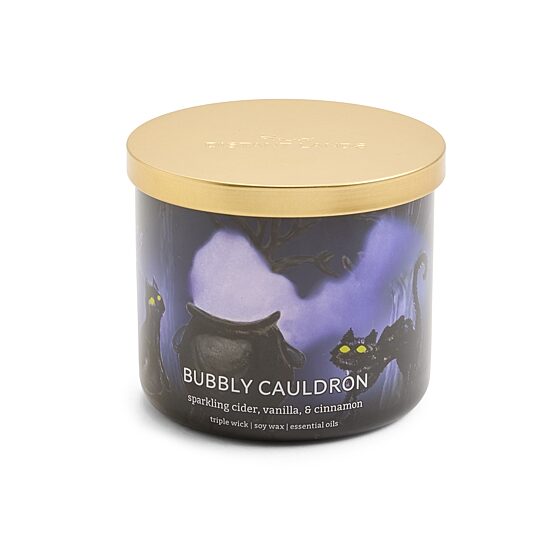 Distant Lands 14oz Bubbly Cauldron 3-Wick Scented Jar Candle