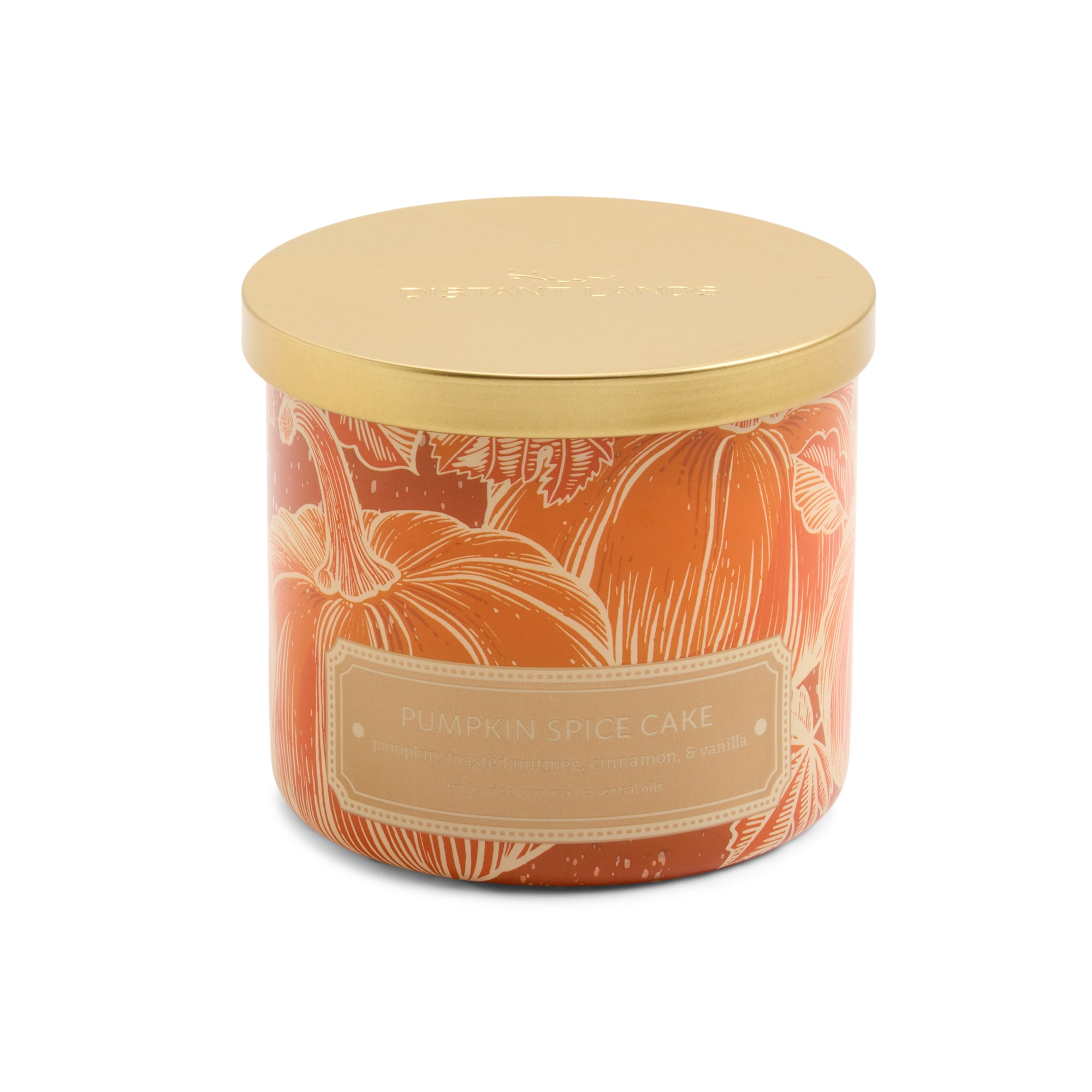 Distant Lands Pumpkin Spice Cake 3-Wick Scented Jar Candle