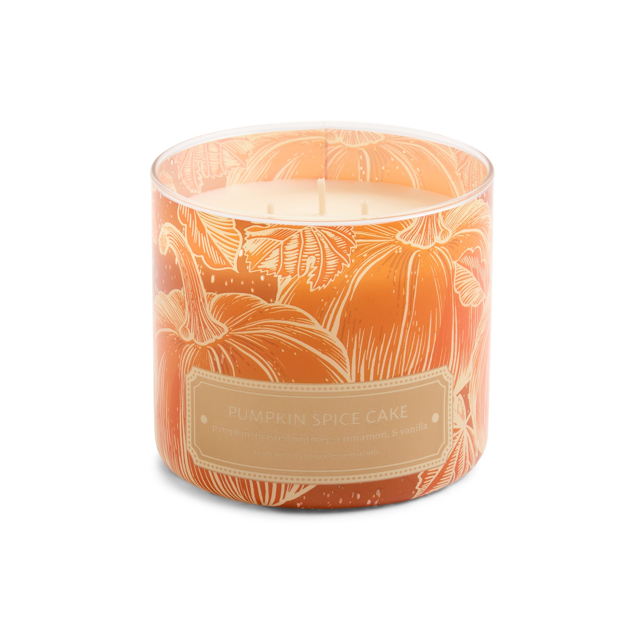 Distant Lands Pumpkin Spice Cake 3-Wick Scented Jar Candle