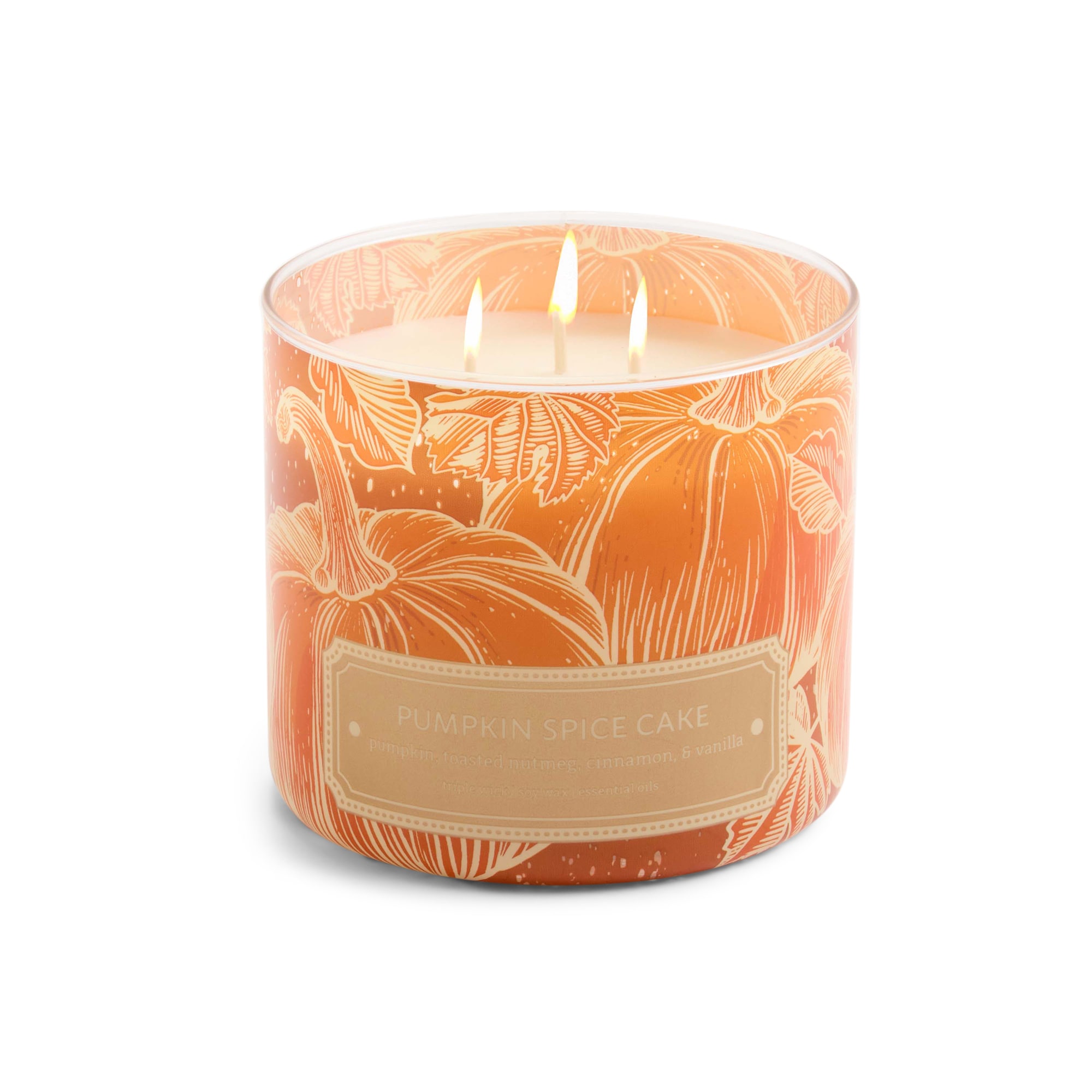 Distant Lands Pumpkin Spice Cake 3-Wick Scented Jar Candle