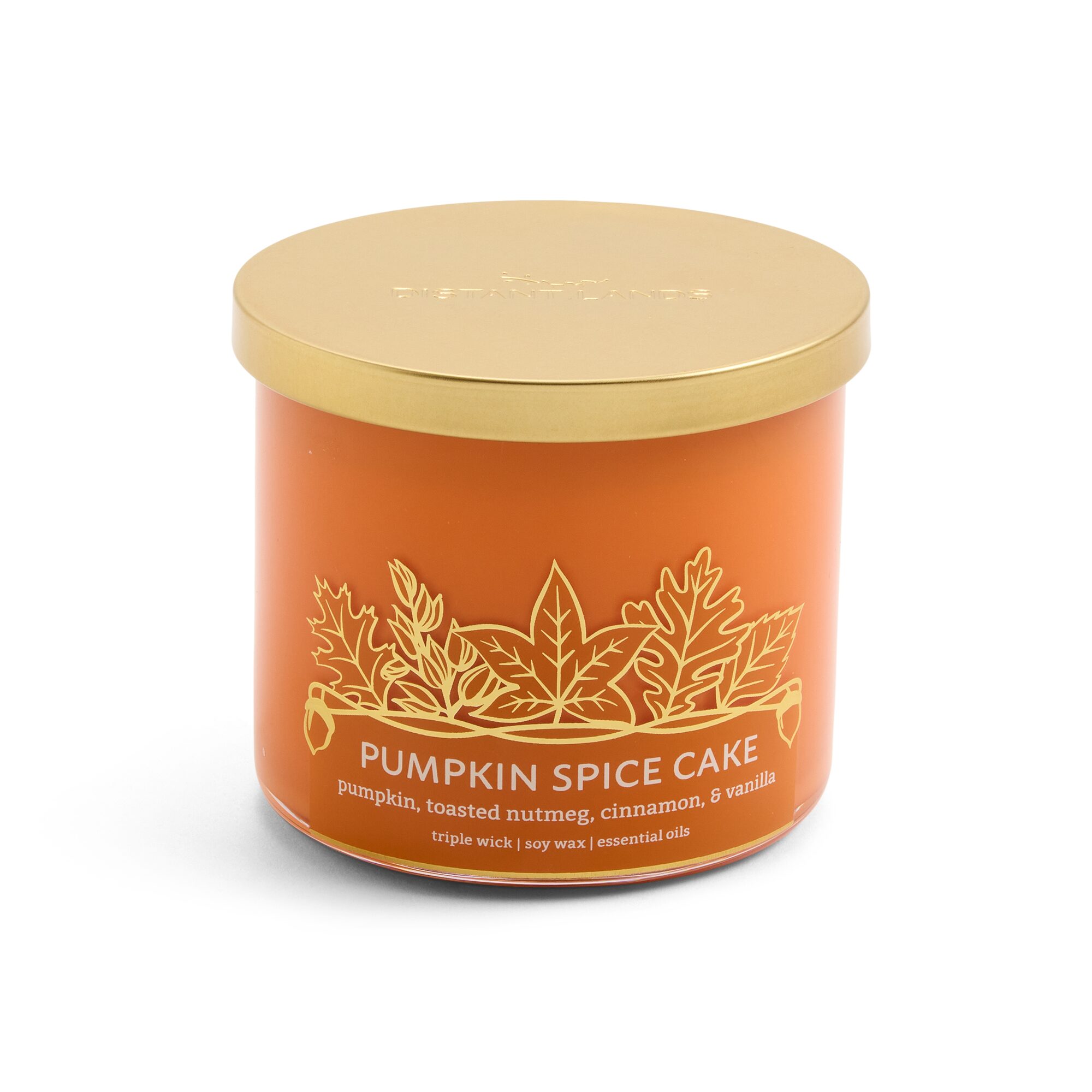 Distant Lands Pumpkin Spice Cake 3-Wick Scented Jar Candle
