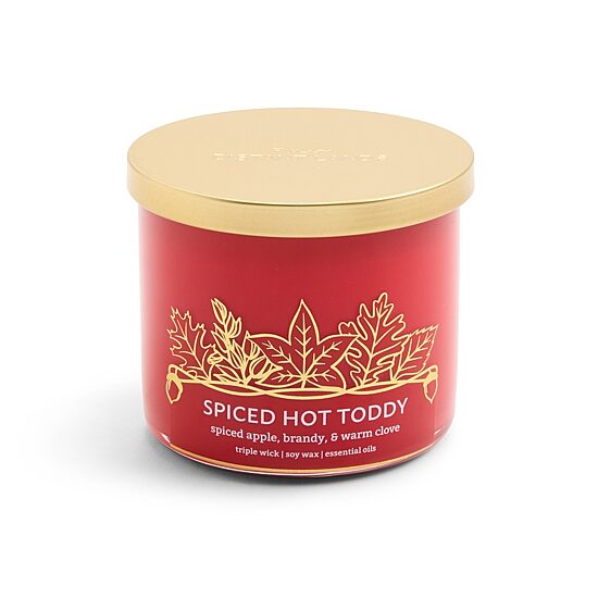 Distant Lands 14oz Spiced Hot Toddy 3-Wick Scented Jar Candle