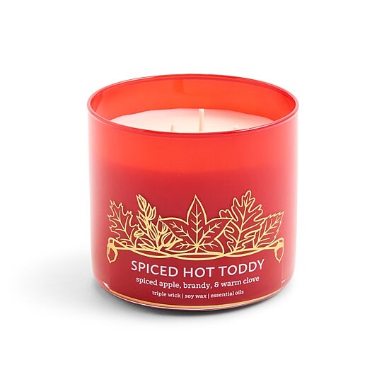 Distant Lands 14oz Spiced Hot Toddy 3-Wick Scented Jar Candle