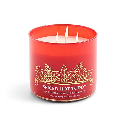 Distant Lands Spiced Hot Toddy 3-wick Scented Jar Candle