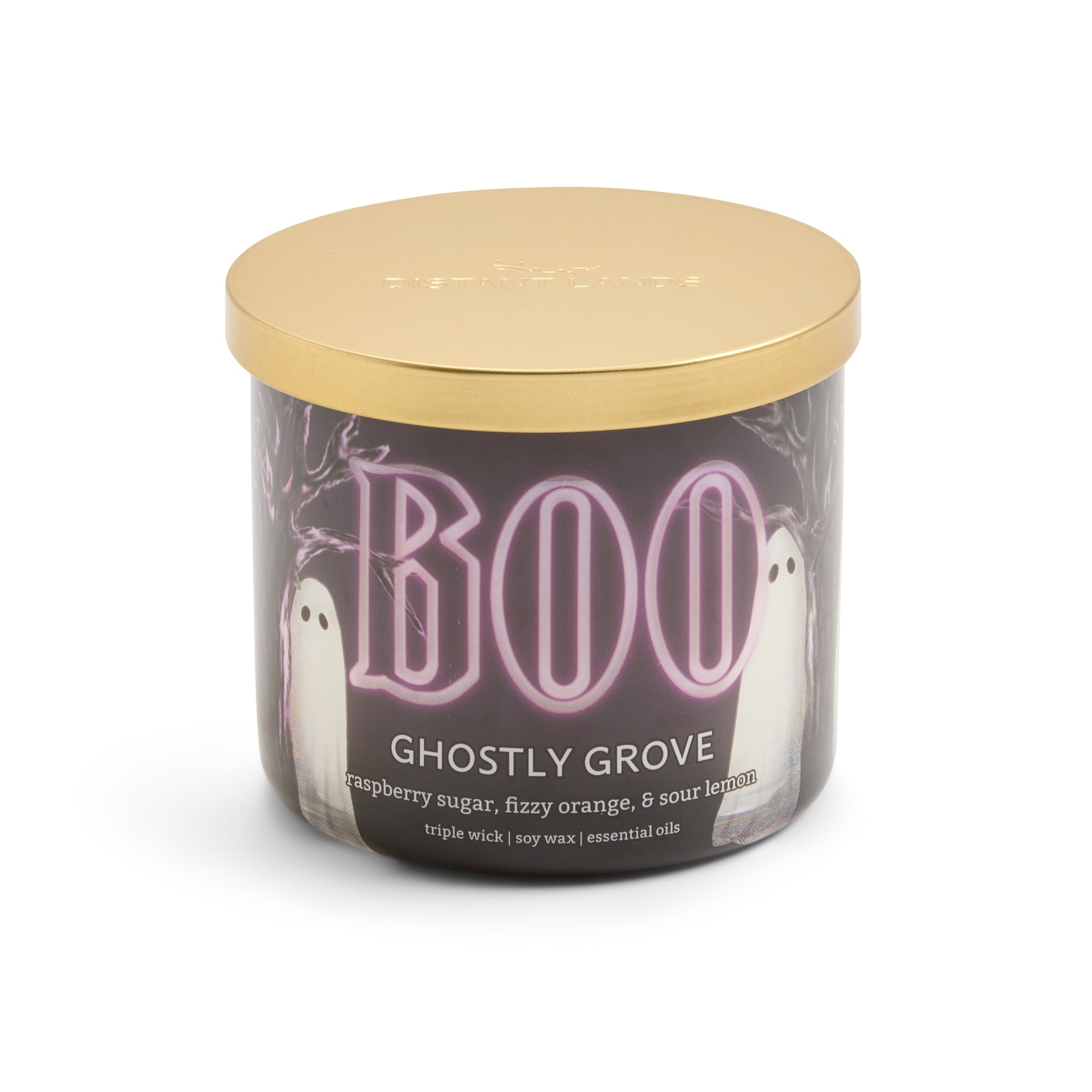 Distant Lands Ghostly Grove 3-Wick Scented Jar Candle