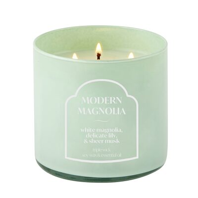 Distant Lands 14oz Modern Magnolia 3-Wick Scented Jar Candle