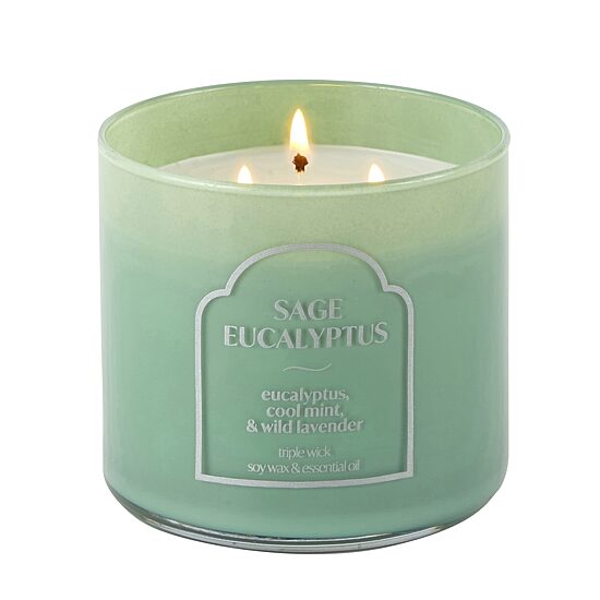 Distant Lands 14oz Sage Eucalyptus 3-Wick Scented Jar Candle