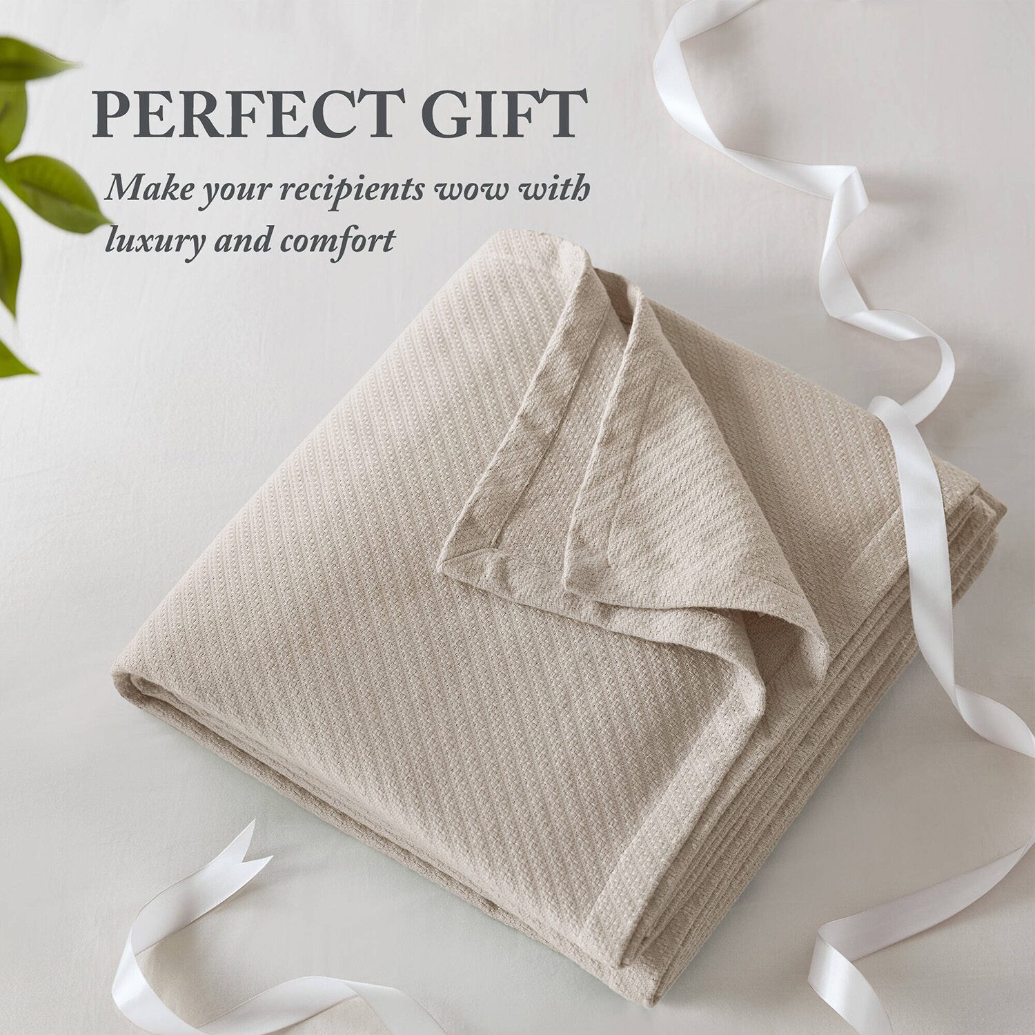 Madison Park Liquid Cotton Blanket