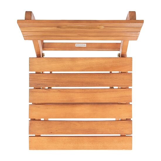Safavieh Blison Folding Chairs 2-pc. Lounge Chair