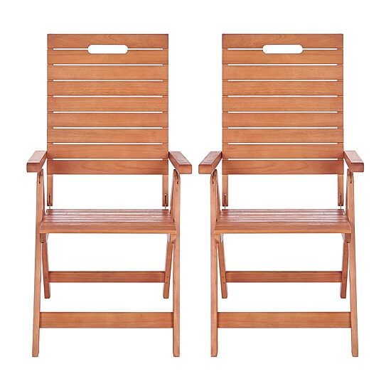 Safavieh Rence Folding Chair 2-pc. Lounge Chair
